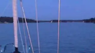 Swan sailing in Stockholm
