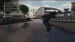skate. clip. huge stair set