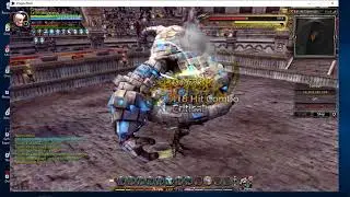 Windwalker after balancing, that dps is just outrageous !!! DragonNest INA Sentinel-Void