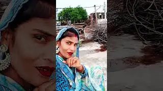 shark video#YouTube#