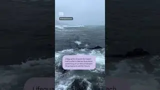 Shark feeding frenzy caught at popular Queensland surf spot | ABC NEWS