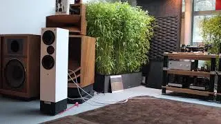 Living Voice & Kondo System from Munich High End 2019 #3