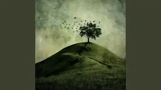 Walking on a Thin Line