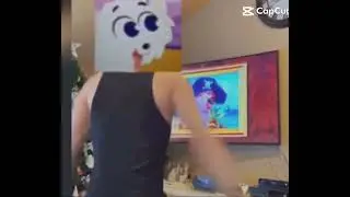 Ay ay captain!