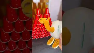 Frigo Camelo Vs Cup Tower