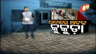 Balasore police detains four cocks after conducting surprise raids amid cock fight reports