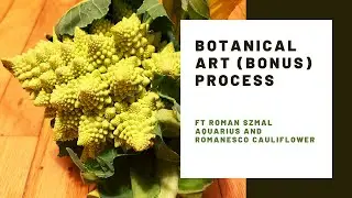 Trying more Roman Szmal Aquarius watercolours & selecting a limited palette for a botanical painting