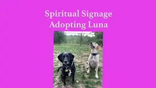 Spiritual Signage -- Adopting Luna