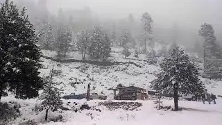 Veracruz CUBIERTO DE NIEVE: EXTREMA NEVADA EN COFRE DE PEROTE, SITUACI&Oacute;N TERRIBLE 