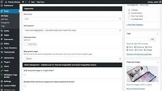 Shout WordPress Theme - Managing Single Blog Posts