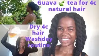 Natural hair wash day, garden chores, guava leaf harvest for hair rinse. guava 🍃 for hair growth