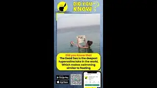 Did you know that The Dead Sea is the deepest hypersaline lake in the world | Amazing #Facts