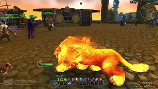World Of Warcraft Druid Cat Form - Druid of the Flames Review