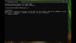How to Get Your Mouse Position in Python with PyAutoGUI