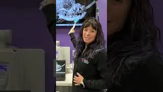 Dr. Keaten explains persistent deciduous teeth in pets and why this needs to be treated early