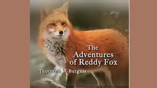 Chapters 06-09 of The Adventures of Reddy Fox by Thornton W. BURGESS