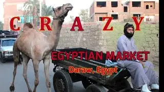 Egyptian Live Animal Market