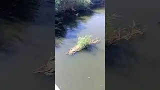 Как люди уничтожают свой дом часть 4