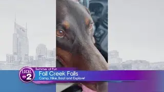 Summer of Fun: Fall Creek Falls