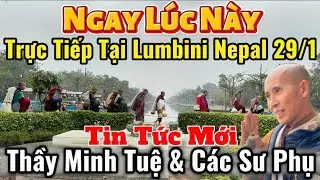 Trực Tiếp Có Gì Mới Hôm Nay? Tin Tức Mới Nhất Thầy Minh Tuệ & Các Sư Phụ Tại Lumbini Nepal 29/1