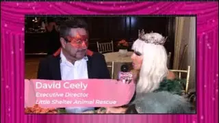 LITTLE SHELTER MASQUERADE BALL INTERVIEWS