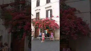 Rome Revealed: Timeless Treasures and Hidden Corners