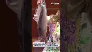 Senator Pulls Out Dead Salmon In Parliament! | DRM News | AC1B