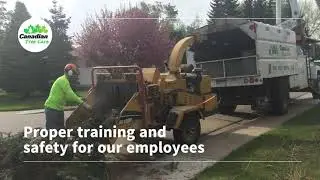 Canadian Tree Care - Professional Tree Care and Property Care Services