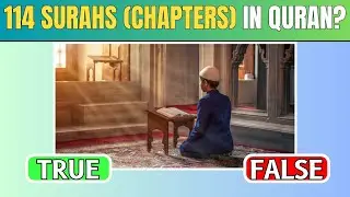 True Or False Islam Quiz - Part 2 | Islamic Quiz | Muslim Quiz (No music)