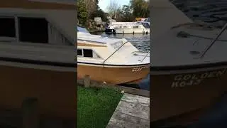 Golden imp boat at ludham