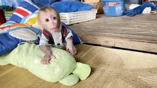 Poor Baby DORN Stare Attentively To Mom Making Milk For Him