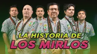 LOS MIRLOS Y SU HISTORIA | #cumbia​amazonica #music​ #psicodélico