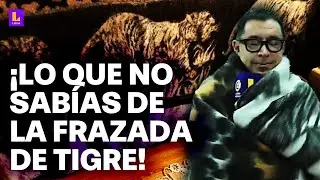 ¿De dónde vienen las frazadas de tigre? ¿Cuánto pesan? Lo que no sabías sobre este boom en Perú