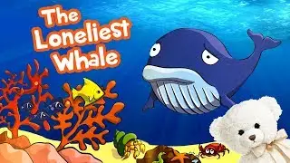 Kids Book Read Aloud | The Loneliest Whale by Jessica Therrien | Ms. Becky & Bear's Storytime