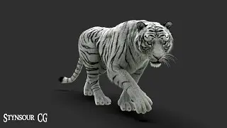 White Tiger 3D model 360 Turntable | CG Creature artist #stynsour