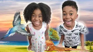 Kids Get Their First Pet For Their Birthday!  So Exciting!!!🐊🐦😃