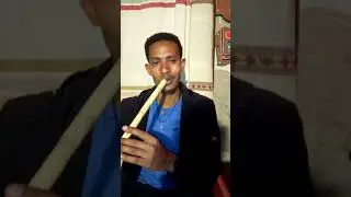 washnt yibeltal anch hoye