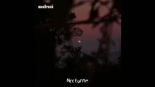 mandruv&aacute; - Nocturne (EP)
