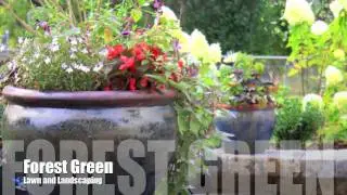 Welcome to Forest Green Lawn and Landscaping