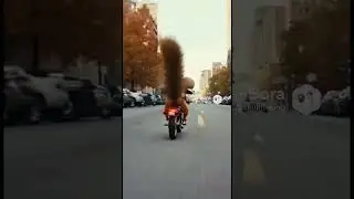 Somebody stop that squirrel #funny #squrrel #bankheist #fypシ #aivideo