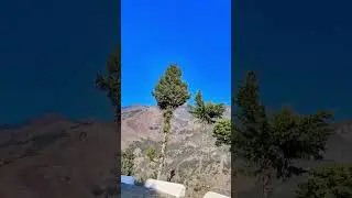 #greenery