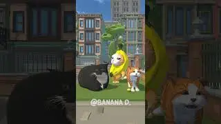 OHIO Cat's 🐱🐱 Spinning Challenge Part TWO