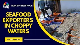 Trump Tariffs: India's Shrimp Industry Braces For A Massive Shrink In Revenues