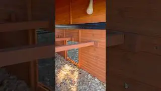 Put small solar light inside my new coops. #solarlight #chickencare #solarlights #chickencoop