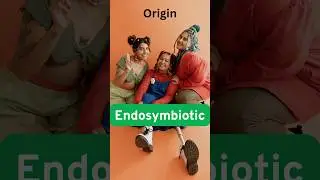 🎯 Mitochondria only in 20 seconds 😎#neet2026 #power #flashcards #neet #biology #shorts #viralvideo