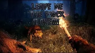 Those Annoying Neighbors that keep Waking you up at Night