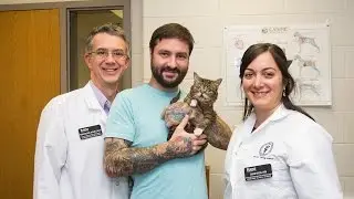 Lil BUB Surgery Set