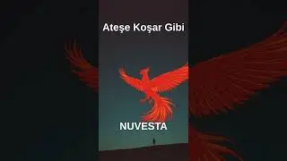 Ateşe Koşar Gibi