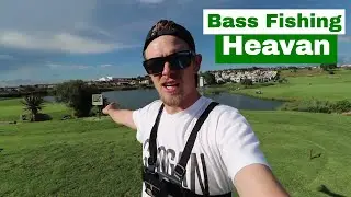 Bank Fishing For Summer Largemouth Bass (Eagle Canyon)