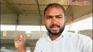 Dairy farm house ki farsh ki taiyari shuru daily life routine village vlog #farminglife